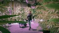 Weed Farms are on a discount and offering bonus money this week (Image via Rockstar Games)